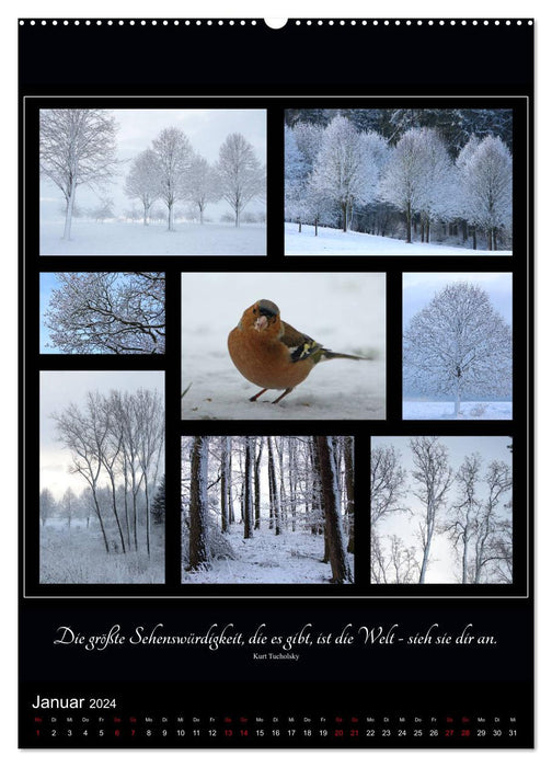 Sprache in Bildern - Collagen aus der Natur (CALVENDO Premium Wandkalender 2024)