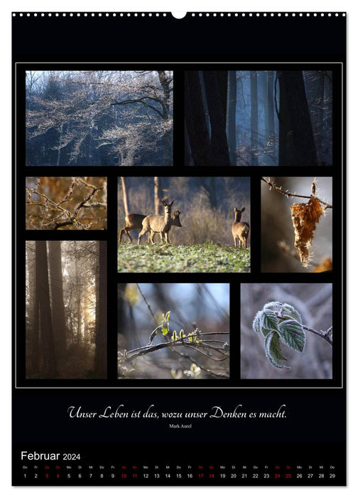 Le langage en images - collages d'après nature (Calendrier mural CALVENDO Premium 2024) 