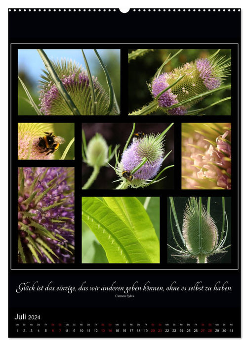 Sprache in Bildern - Collagen aus der Natur (CALVENDO Premium Wandkalender 2024)