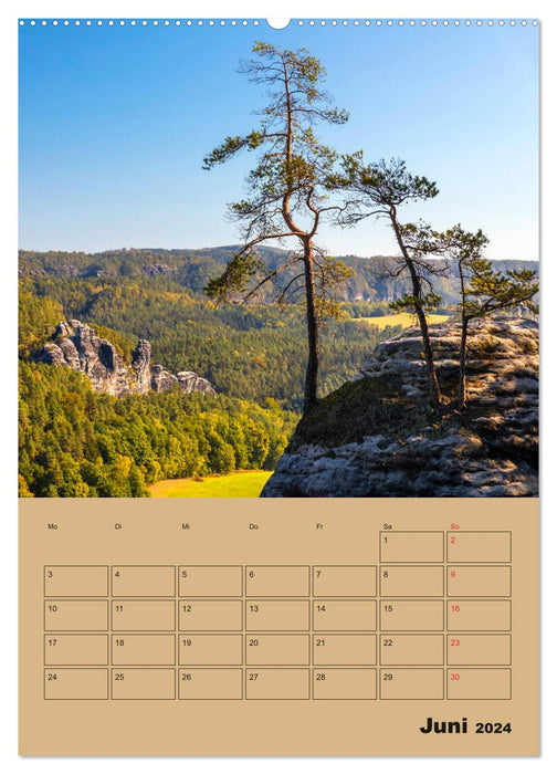 Zauberhafte Sächsische Schweiz (CALVENDO Wandkalender 2024)