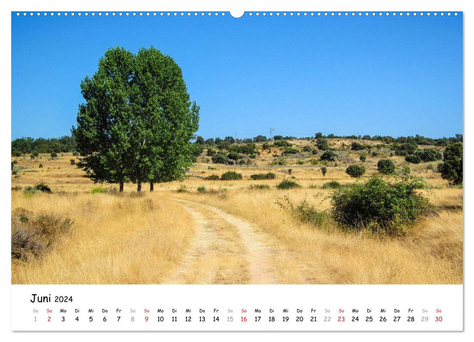 Chemin de Saint-Jacques - Camino Sanabres (Calvendo Premium Wall Calendar 2024) 