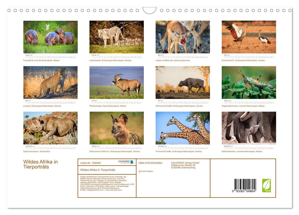 Wildes Afrika in Tierporträts (CALVENDO Wandkalender 2024)