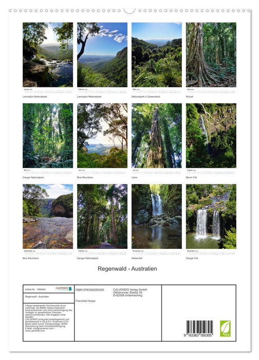 Regenwald - Australien (CALVENDO Premium Wandkalender 2024)