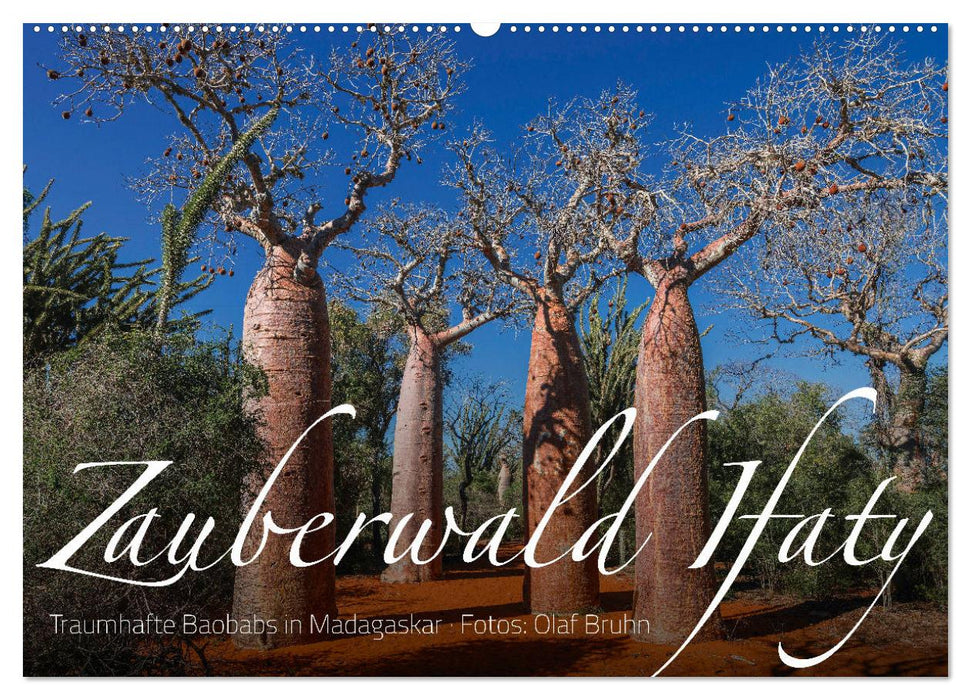 Zauberwald Ifaty · Traumhafte Baobabs in Madagaskar (CALVENDO Wandkalender 2024)