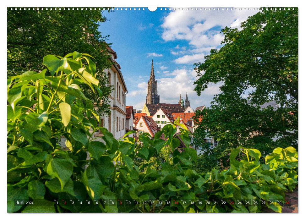 Ulm pour les moineaux nicheurs (Calvendo Premium Wall Calendar 2024) 