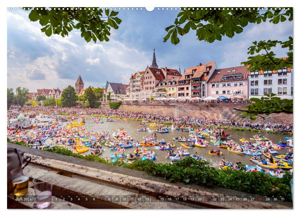 Ulm pour les moineaux nicheurs (Calvendo Premium Wall Calendar 2024) 
