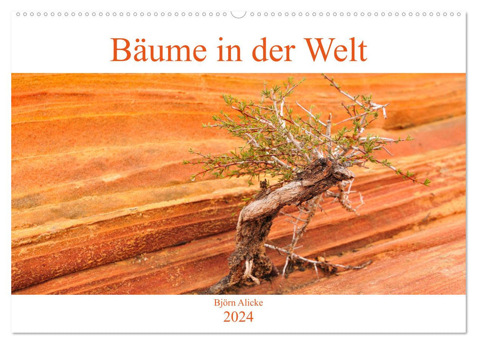 Bäume in der Welt (CALVENDO Wandkalender 2024)