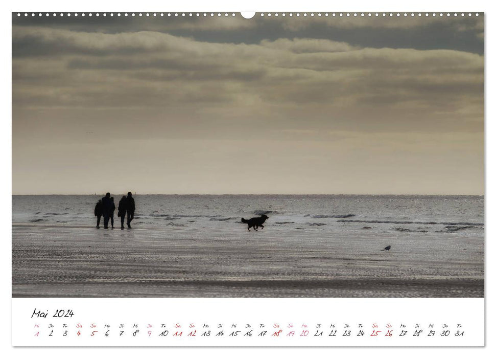 Mer des Wadden et parc naturel Heligoland (calendrier mural CALVENDO Premium 2024) 