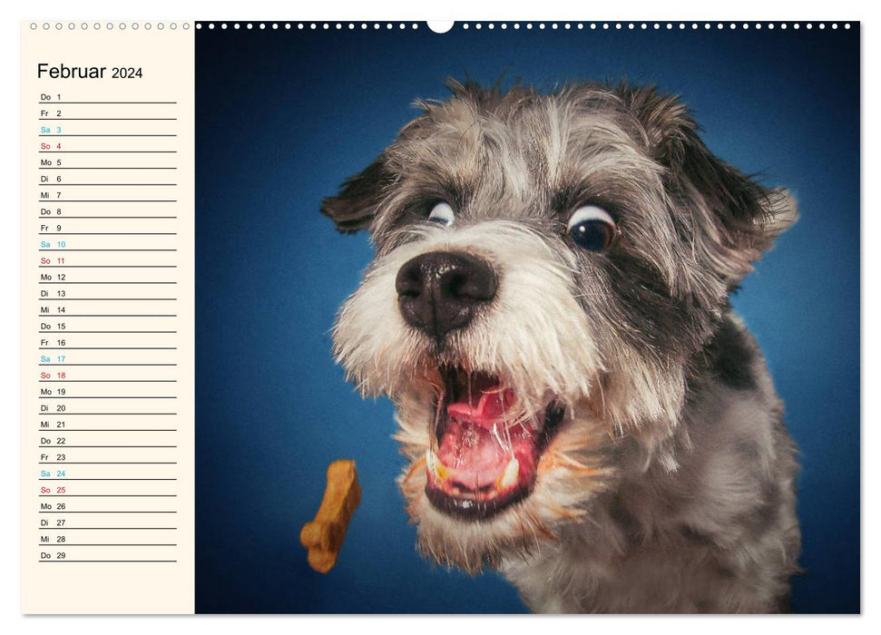 Fang das Leckerli! (CALVENDO Premium Wandkalender 2024)