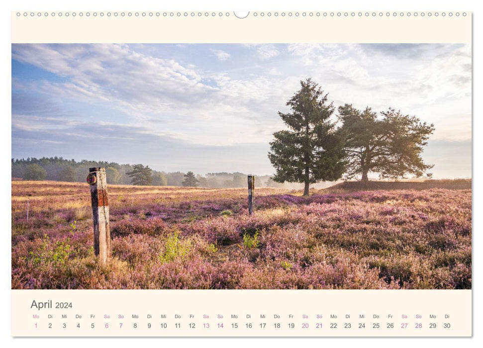 Mehlinger Heide (Calvendo Premium Calendrier mural 2024) 