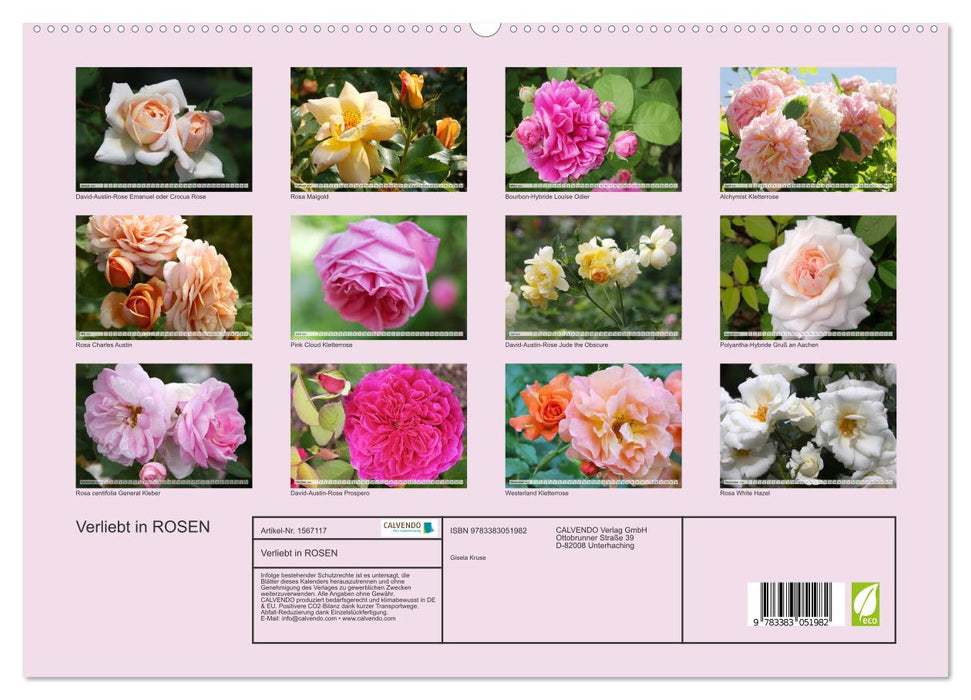 Verliebt in Rosen (CALVENDO Premium Wandkalender 2024)