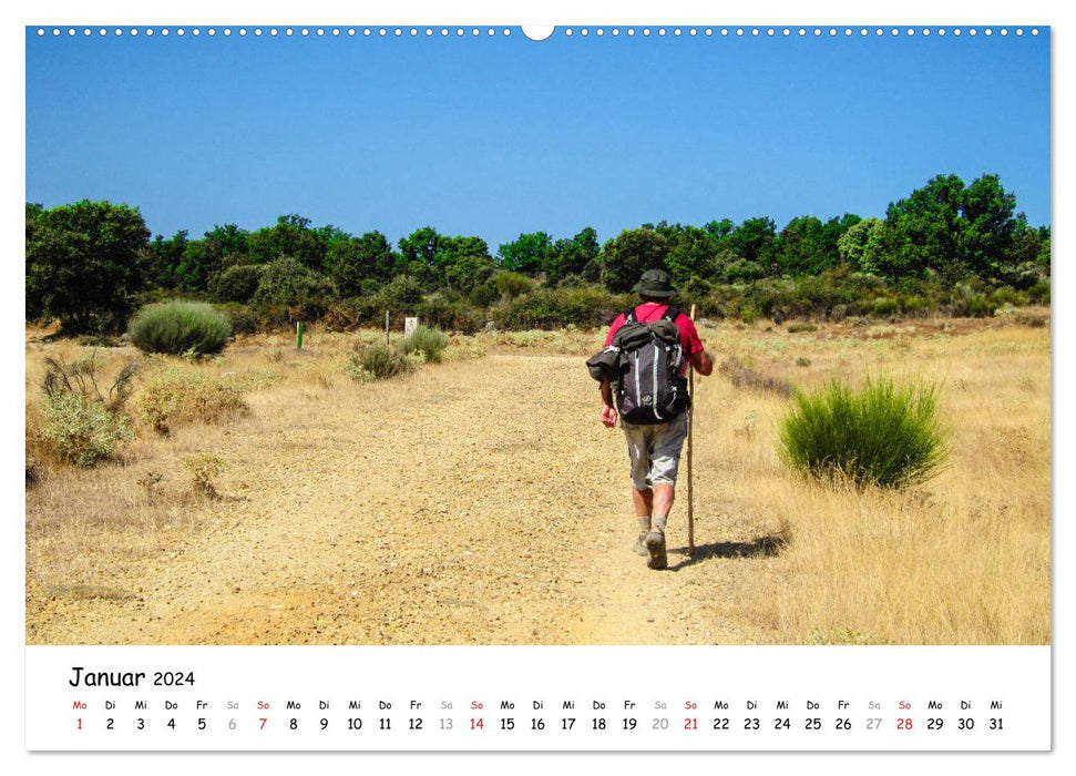 Chemin de Saint-Jacques - Camino Sanabres (Calendrier mural CALVENDO 2024) 