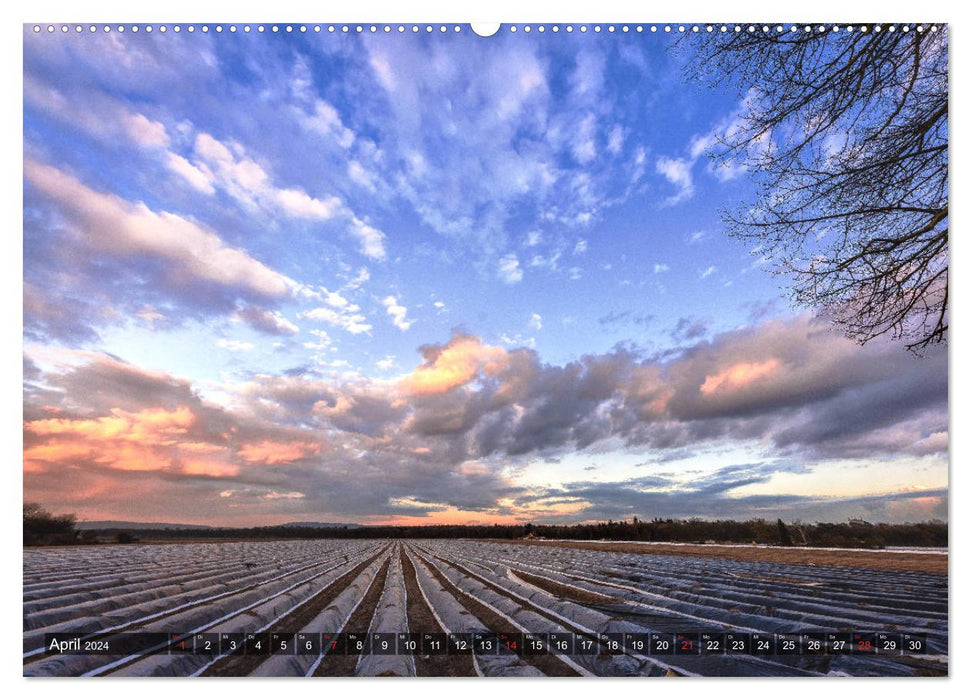 Ketsch am Rhein (CALVENDO Wandkalender 2024)