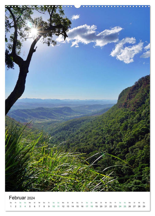 Forêt tropicale - Australie (Calendrier mural CALVENDO 2024) 