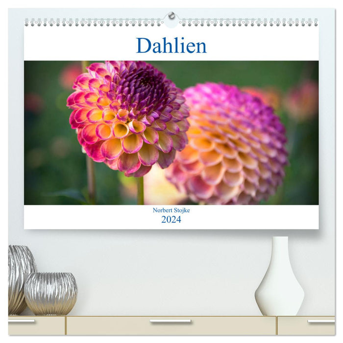 Dahlien - Blumenwunder der Natur (CALVENDO Premium Wandkalender 2024)