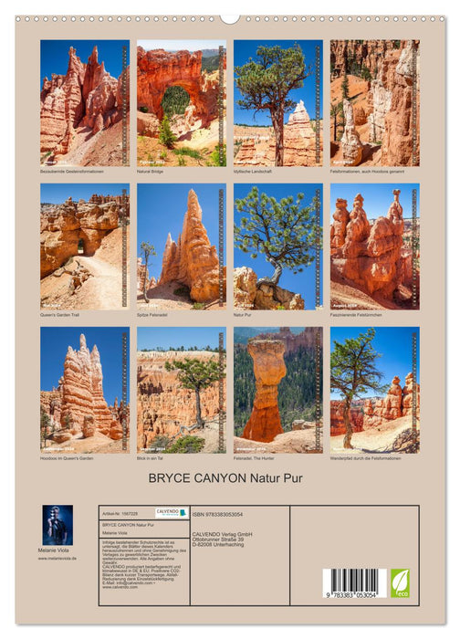 BRYCE CANYON Nature Pure (Calvendo Premium Calendrier mural 2024) 