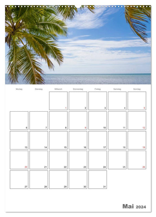 Planificateur d'été, de soleil, de loisirs / de rendez-vous (calendrier mural CALVENDO Premium 2024) 