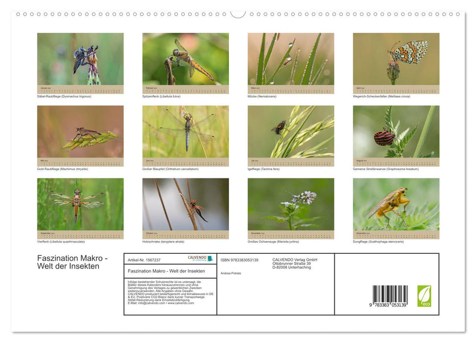 Faszination Makro - Die Welt der Insekten (CALVENDO Premium Wandkalender 2024)
