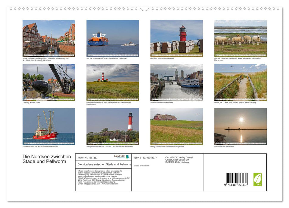 Die Nordsee zwischen Stade und Pellworm (CALVENDO Premium Wandkalender 2024)