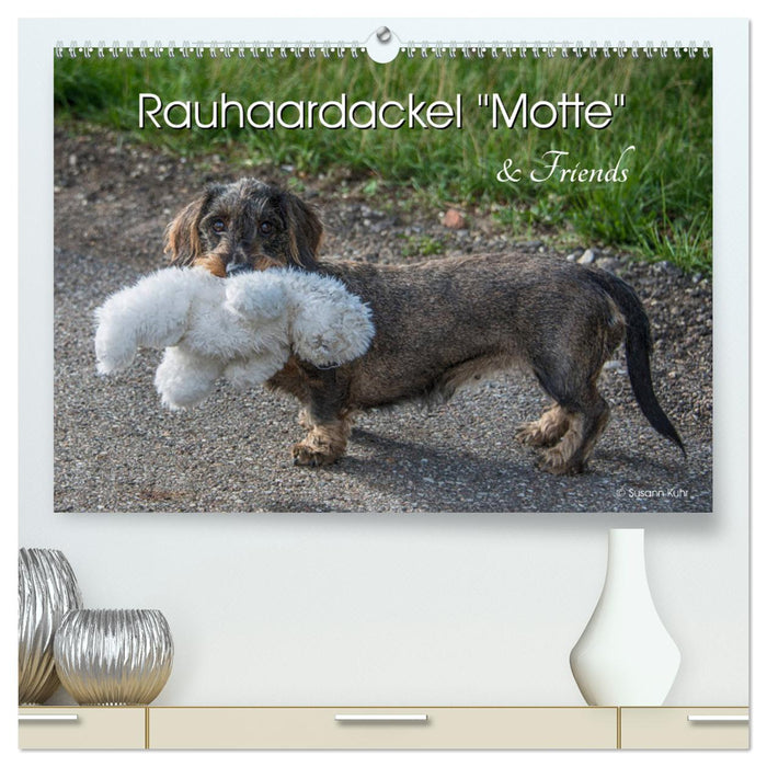 Rauhaardackel Motte & Friends (CALVENDO Premium Wandkalender 2024)