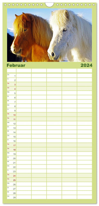 Les chevaux d'Islande (Agenda familial CALVENDO 2024) 