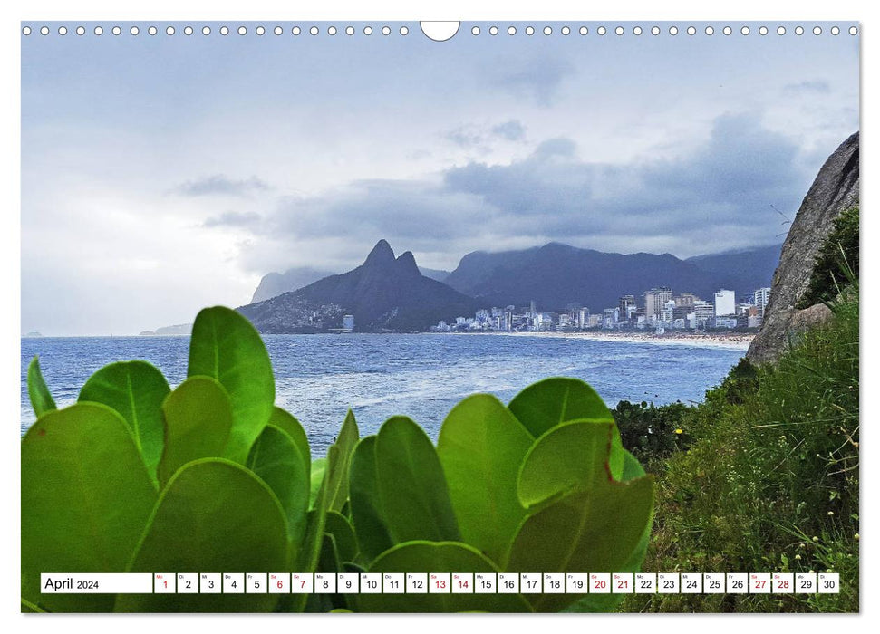 Buntes Brasilien (CALVENDO Wandkalender 2024)