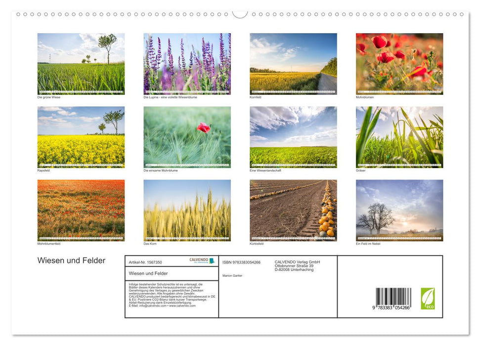 Prairies et champs (Calendrier mural CALVENDO Premium 2024) 