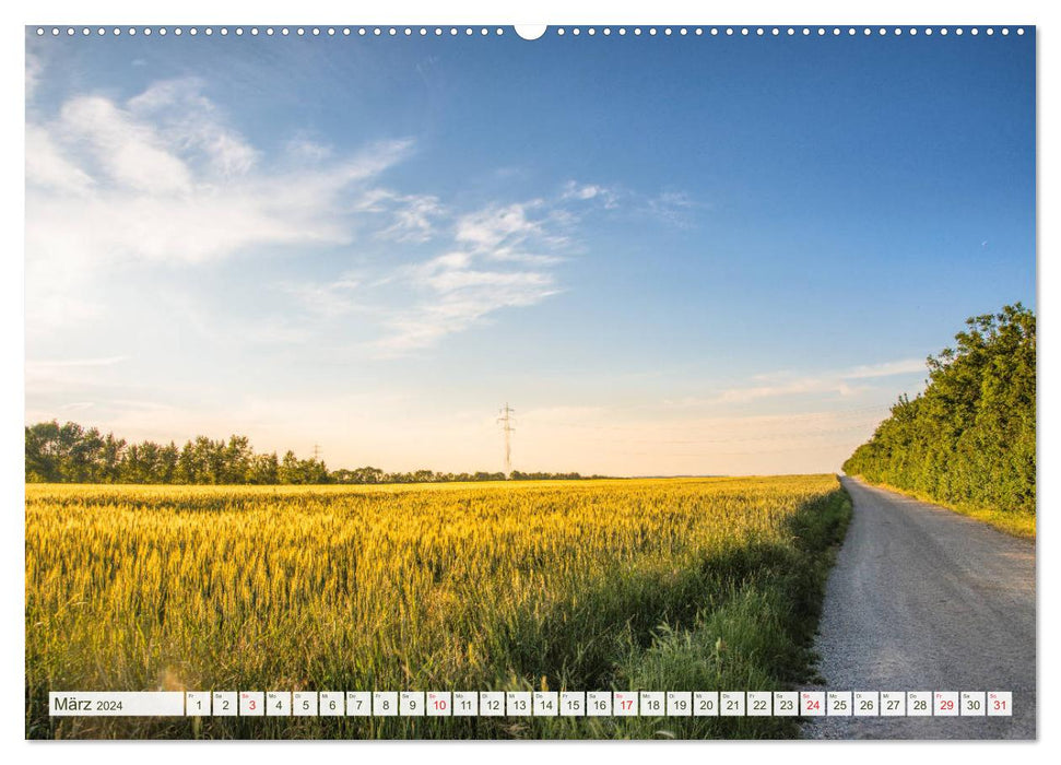 Prairies et champs (Calendrier mural CALVENDO Premium 2024) 