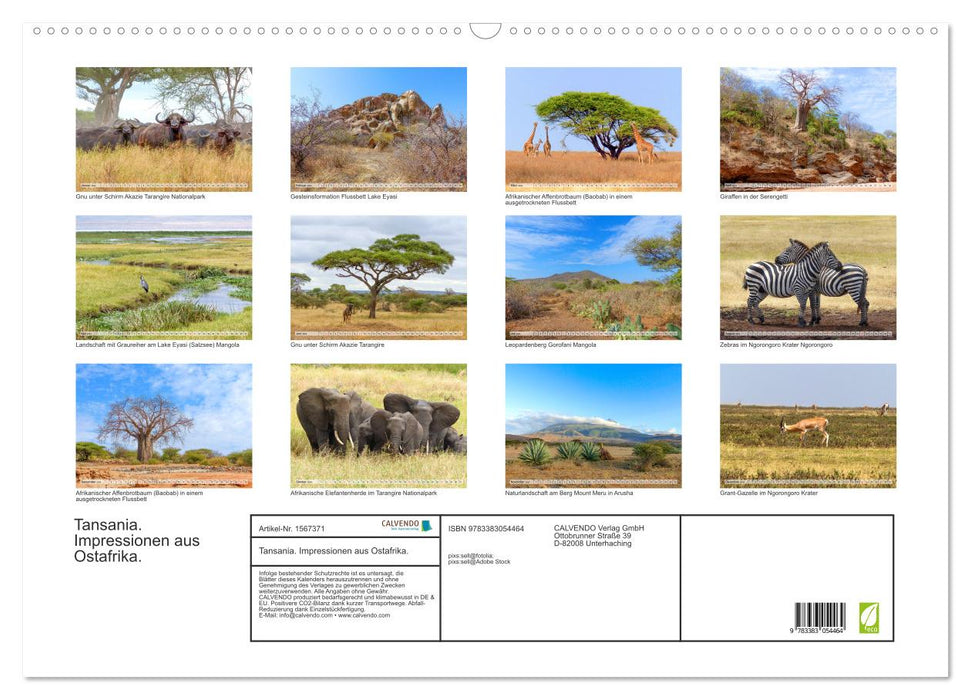 Tanzanie. Impressions d'Afrique de l'Est (calendrier mural CALVENDO 2024) 