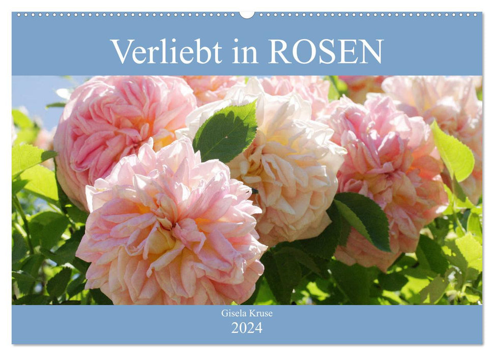 Verliebt in Rosen (CALVENDO Wandkalender 2024)