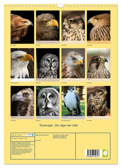 Raubvögel - Die Jäger der Lüfte (CALVENDO Wandkalender 2024)