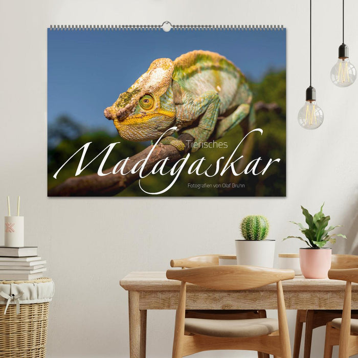 Tierisches Madagaskar (CALVENDO Wandkalender 2024)