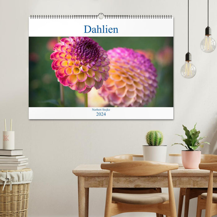 Dahlias - merveilles florales de la nature (calendrier mural CALVENDO 2024) 