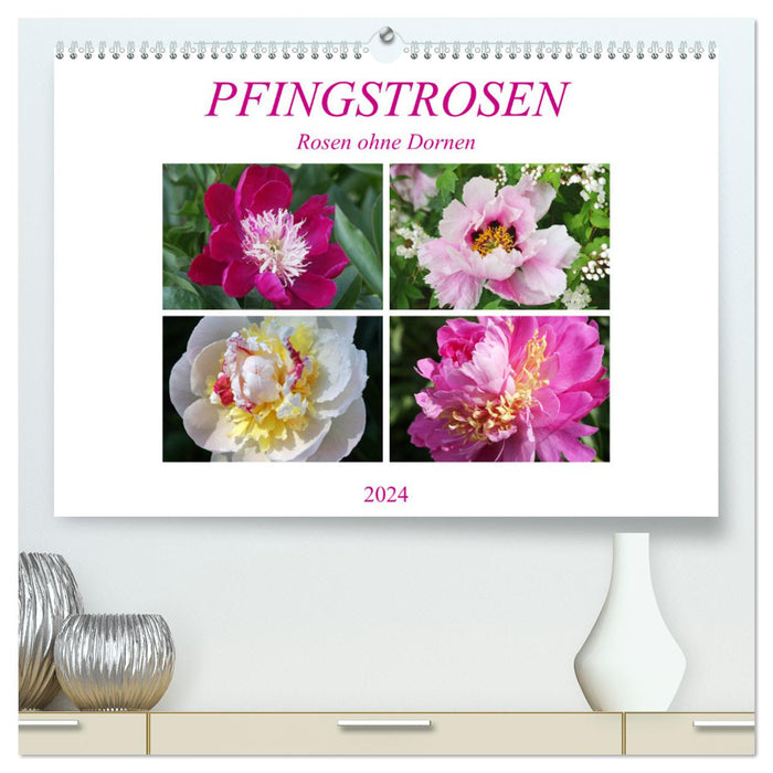 PFINGSTROSEN Rosen ohne Dornen (CALVENDO Premium Wandkalender 2024)