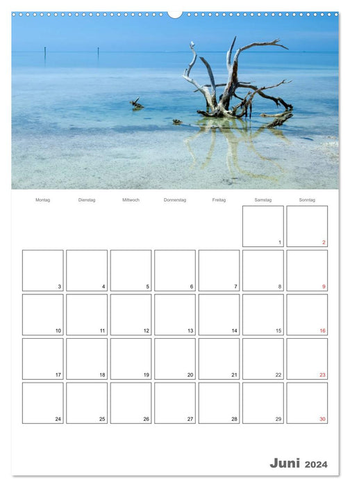 Sommer, Sonne, Freizeit / Terminplaner (CALVENDO Wandkalender 2024)