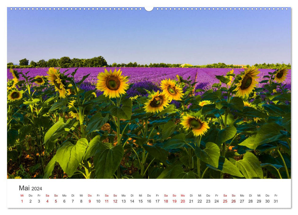 Rêves de lavande, Provence du rose au violet (Calendrier mural CALVENDO 2024) 