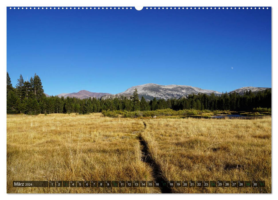 Parc national de Yosemite (calendrier mural CALVENDO 2024) 