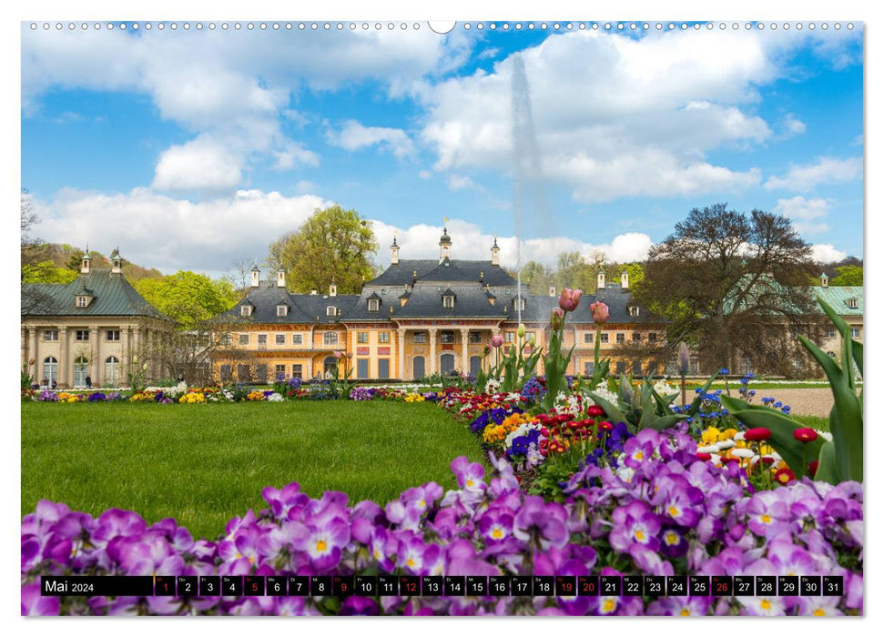 Sachsen`s Glanz (CALVENDO Wandkalender 2024)