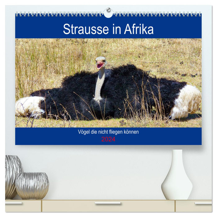 Strausse in Afrika (CALVENDO Premium Wandkalender 2024)