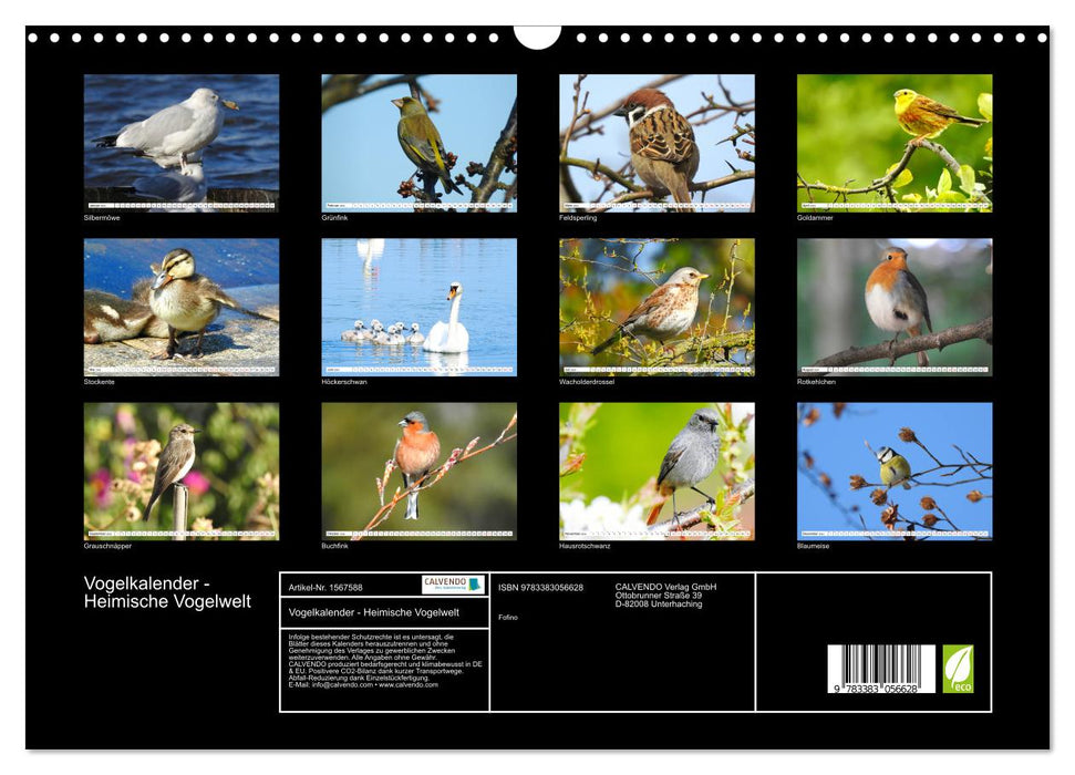 Vogelkalender (CALVENDO Wandkalender 2024)