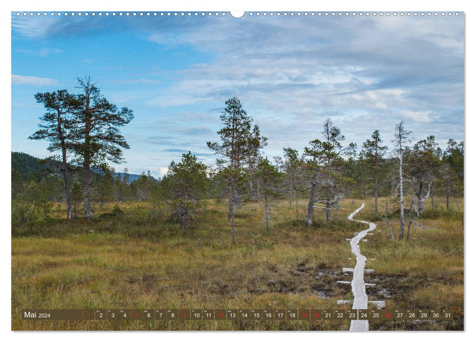 Wandern - In Norwegen und Schweden (CALVENDO Premium Wandkalender 2024)