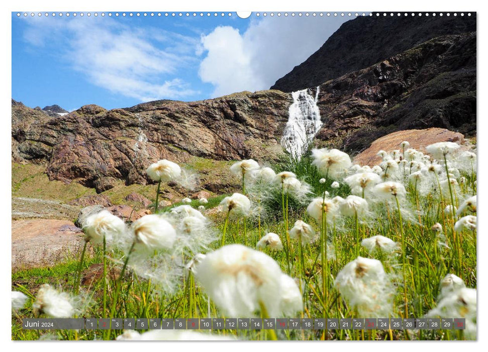 Flora der Alpen (CALVENDO Premium Wandkalender 2024)