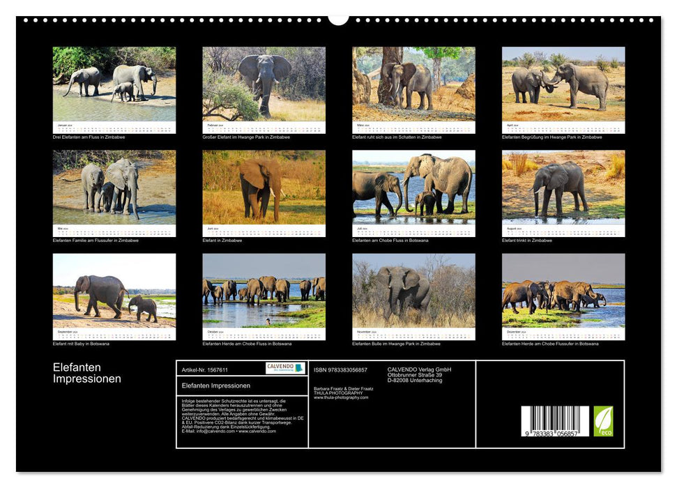 Elefanten Impressionen (CALVENDO Premium Wandkalender 2024)