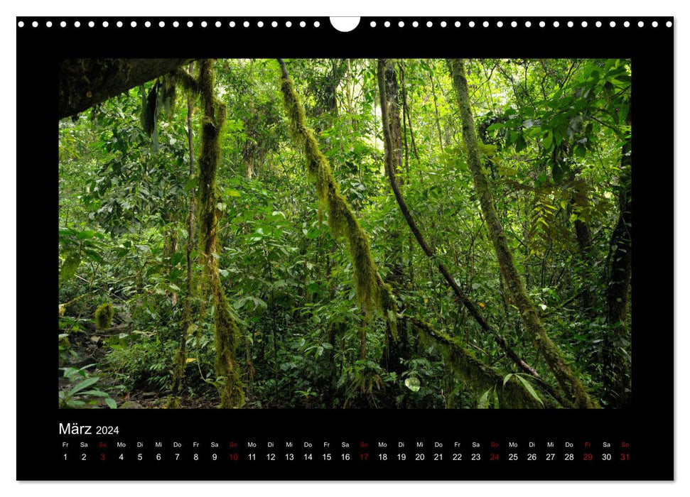 SUMATRA Abenteuer Regenwald (CALVENDO Wandkalender 2024)