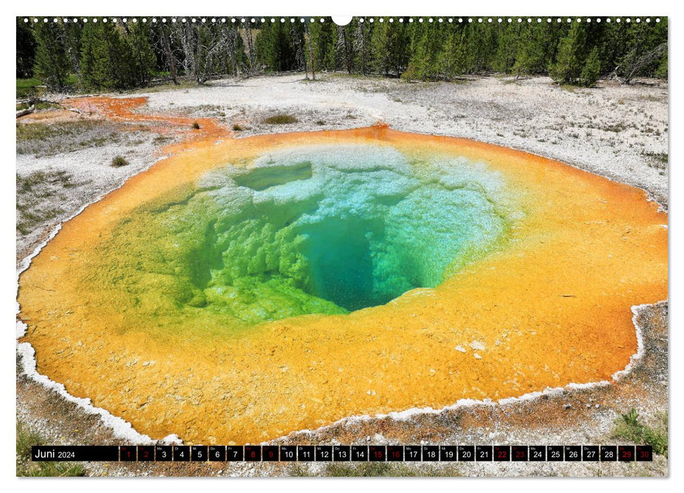 Wunderwelt Yellowstone 2024 (CALVENDO Wandkalender 2024)