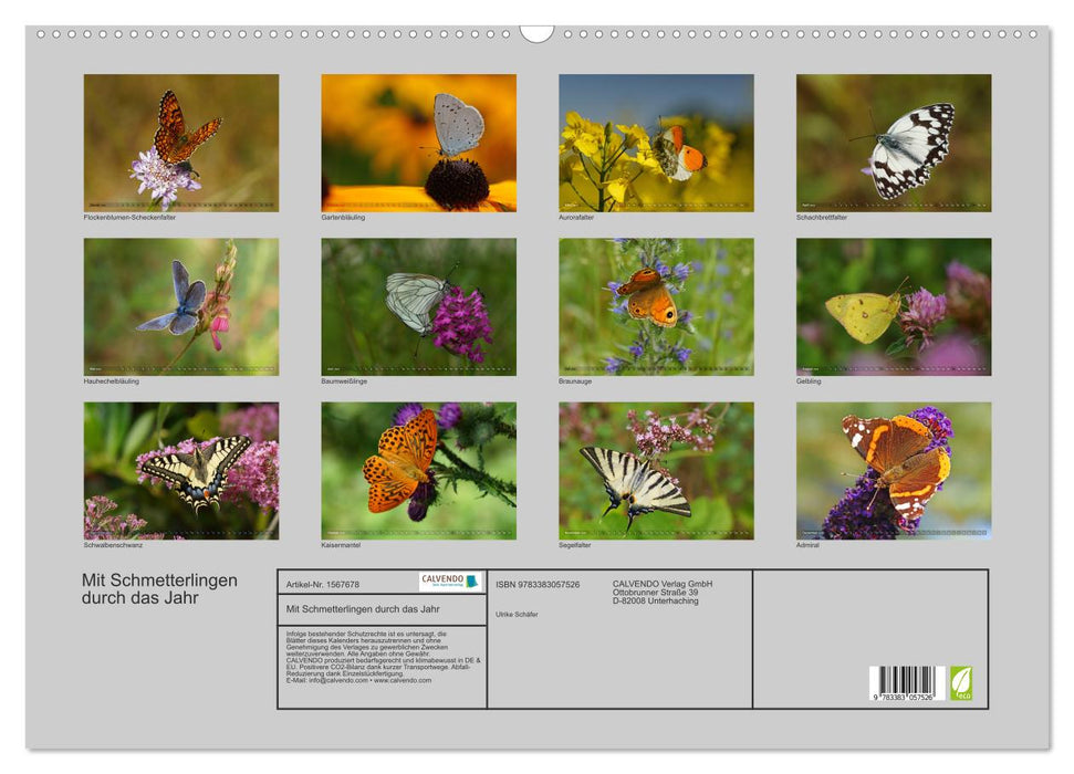 Mit Schmetterlingen durch das Jahr (CALVENDO Wandkalender 2024)