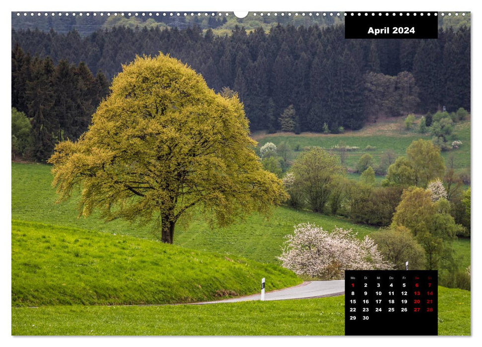 Picturesque Sauerland (CALVENDO Premium Wall Calendar 2024) 