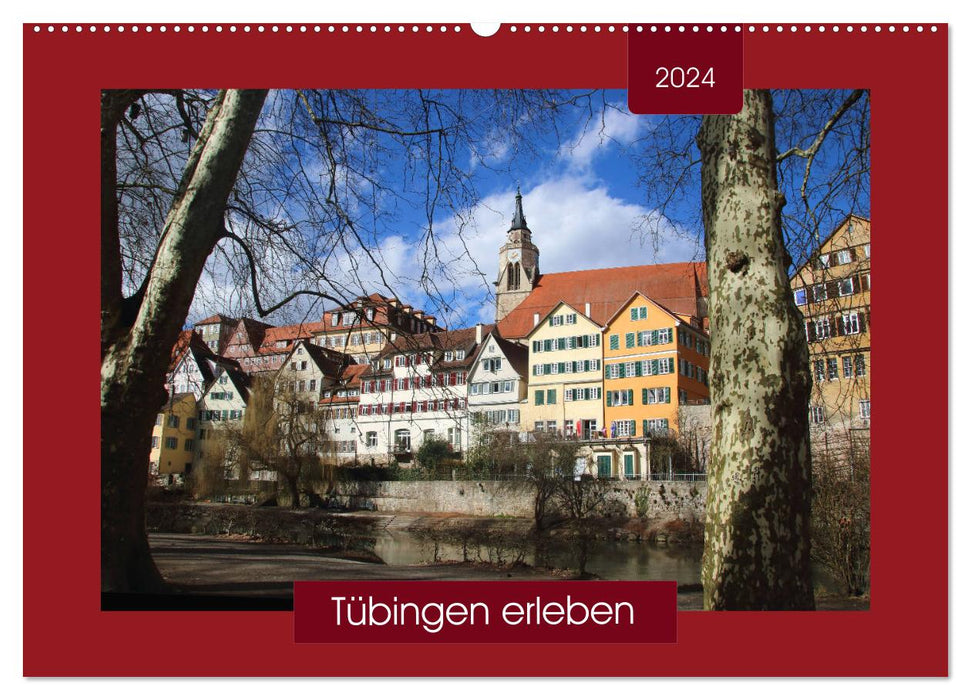 Tübingen erleben (CALVENDO Wandkalender 2024)