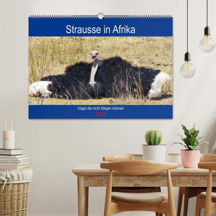 Strausse in Afrika (CALVENDO Wandkalender 2024)