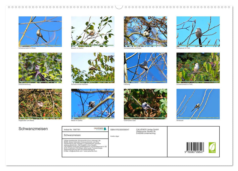 Long-tailed Tits (CALVENDO Premium Wall Calendar 2024) 